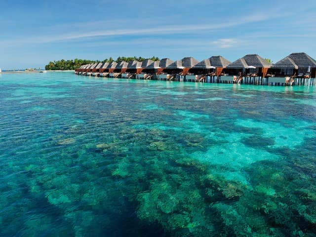 Ayada maldives corais
